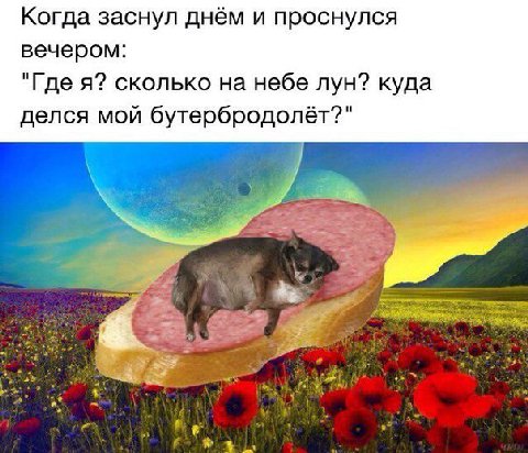 Когда заснул днём и проснулся вечером: "Где я? сколько на небе лун? куда делся мой бутербродолёт?" 2