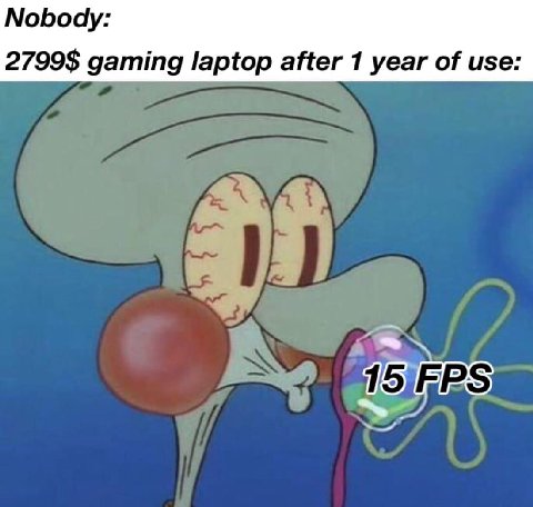 Nobody: 2799$ gaming laptop after 1 year of use: