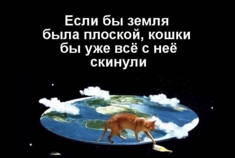 Если бы земля была плоской, кошки бы уже всё с неё скинули