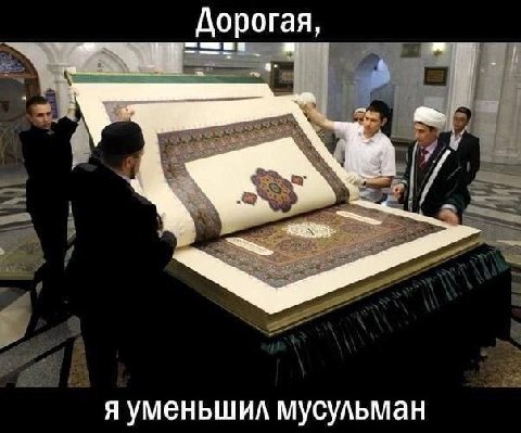 Дорогая, я уменьшил мусульман