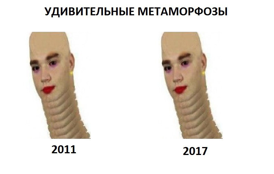 УДИВИТЕЛЬНЫЕ МЕТАМОРФОЗЫ 2011 2017