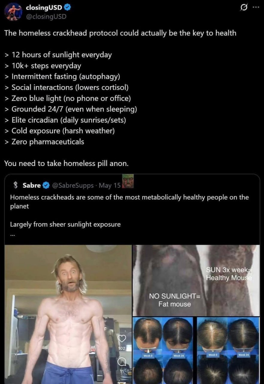 closingUSD The homeless crackhead protocol could actually be the key to health 12 hours of sunlight everyday ТОК steps everyday Intermittent fasting Social interactions (lowers cortisol) Zero blue lig