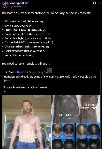 closingUSD The homeless crackhead protocol could actually be the key to health 12 hours of sunlight everyday ТОК steps everyday Intermittent fasting Social interactions (lowers cortisol) Zero blue lig
