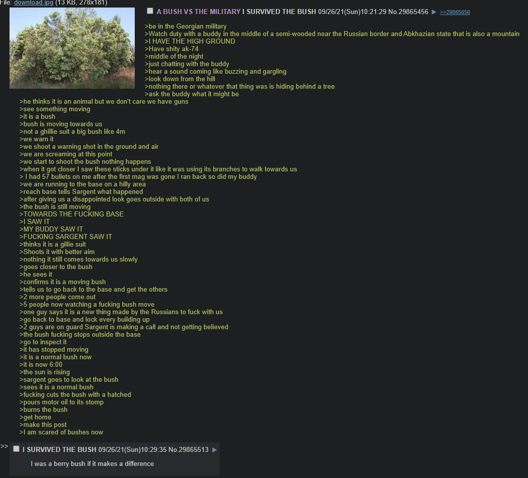 Cownload jpg (153 58 ABUSH THE MILITARY I SURVIVED THE BUSH 09/26/21(Sun)10:21:29 No.29865456 >be in the Georgian military >Watch duty with a buddy in the middle of a semi-wooded near the Russian bord