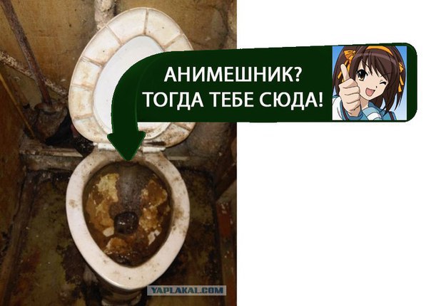 АНИМЕШНИК? ТОГДА ТЕБЕ СЮДА!