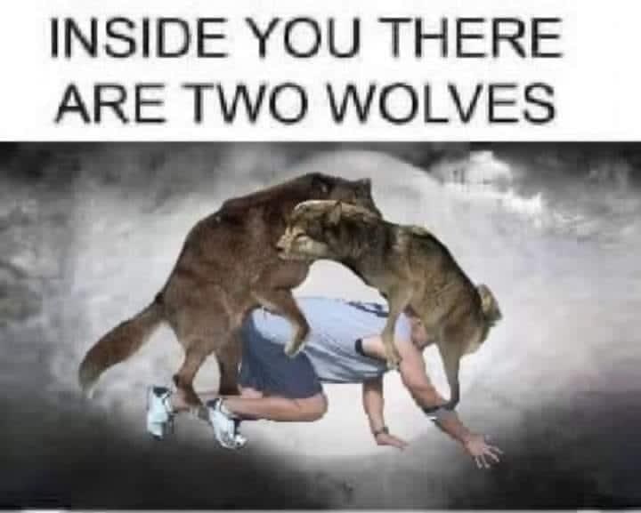 INSIDE YOU THERE ARE TWO WOLVES