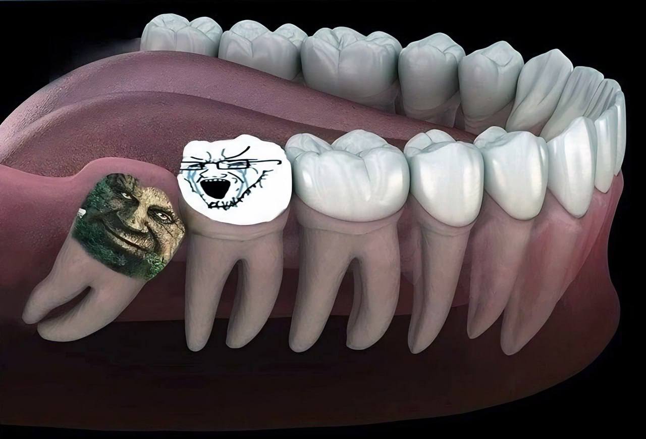 tow 7 Я 4 A 3 7 an 4 у 4 у i 7 5 А 4 A i A у у