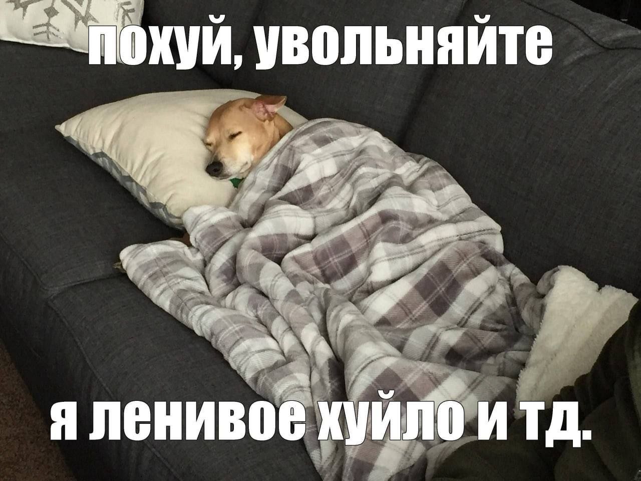 увольняйте if Я ленивое ИТД.