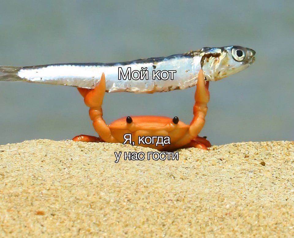К a Я, когда 4 9 5 swe, 4 5 tay 4 a а: teow