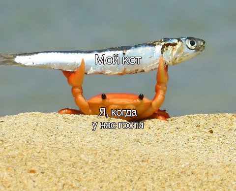 К a Я, когда 4 9 5 swe, 4 5 tay 4 a а: teow