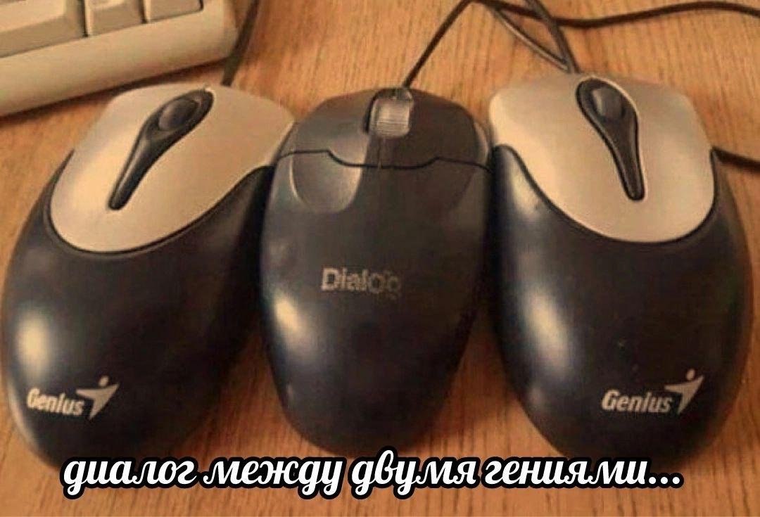 циалог между