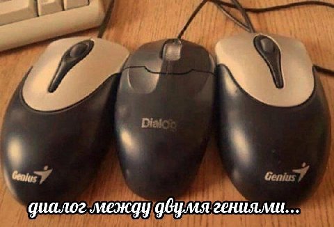 циалог между