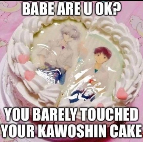 A YOUR'KAWOSHIN CAKE