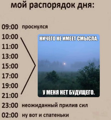 мой распорядок дня: 09:00 проснулся 10:00 НИЧЕГО 11:00 13:00 15:00 17:00 19:00 21:00 УМЕНЯ НЕТ БУДУЩЕГО. 23:00 неожиданный прилив сил 02:00 и спатеньки