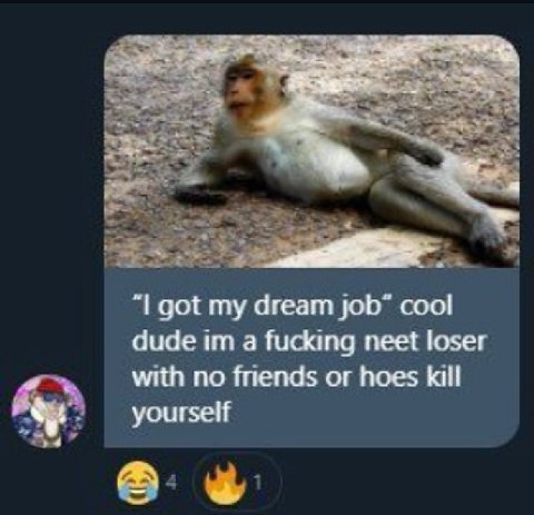 got my dream job” cool dude a fucking neet loser with no friends or hoes kill yourself