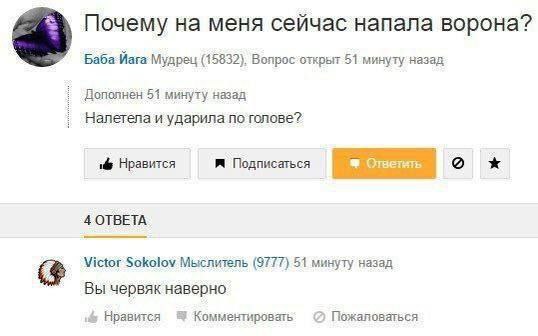 Почему на меня сейчас напала ворона? Vara Мудрец (15832), 51 минуту назад Дополнен 51 минуту назад Налетела и ударила по голове? Нравится Подписаться 4 ОТВЕТА Victor Sokolov Мыслитель (9777) 51 минуту