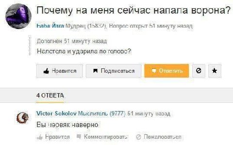Почему на меня сейчас напала ворона? Vara Мудрец (15832), 51 минуту назад Дополнен 51 минуту назад Налетела и ударила по голове? Нравится Подписаться 4 ОТВЕТА Victor Sokolov Мыслитель (9777) 51 минуту