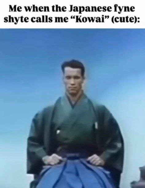 Me when the Japanese Гупе shyte calls me “Kowai” (cute): 1