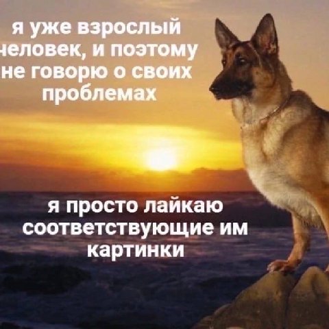 я уже взрослый человек, и поэтому не говорю о своих проблемах я просто лайкаю соответствующие картинки