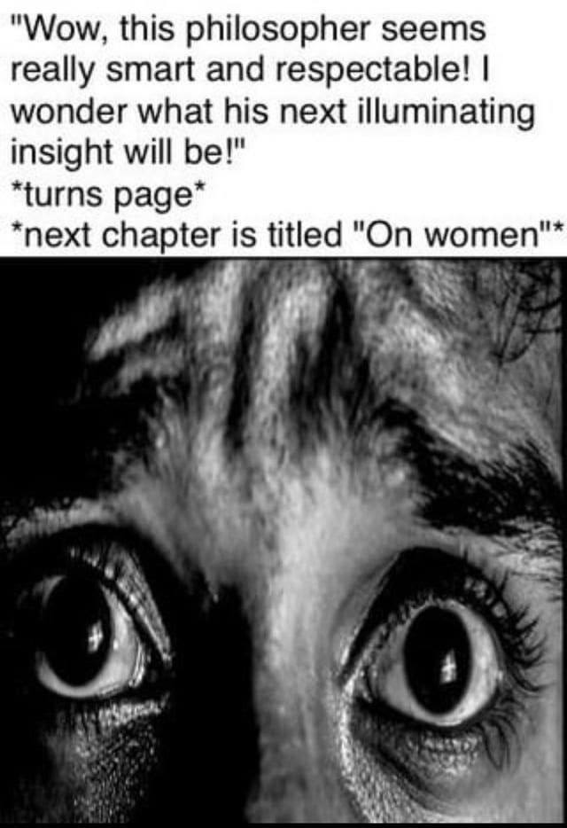 "Wow, this philosopher seems really smart and respectable! wonder what his next illuminating insight will be!" “turns *next chapter is titled "On women"*