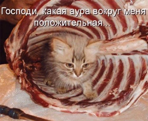 Господи, какая аура вокруг положительная... a