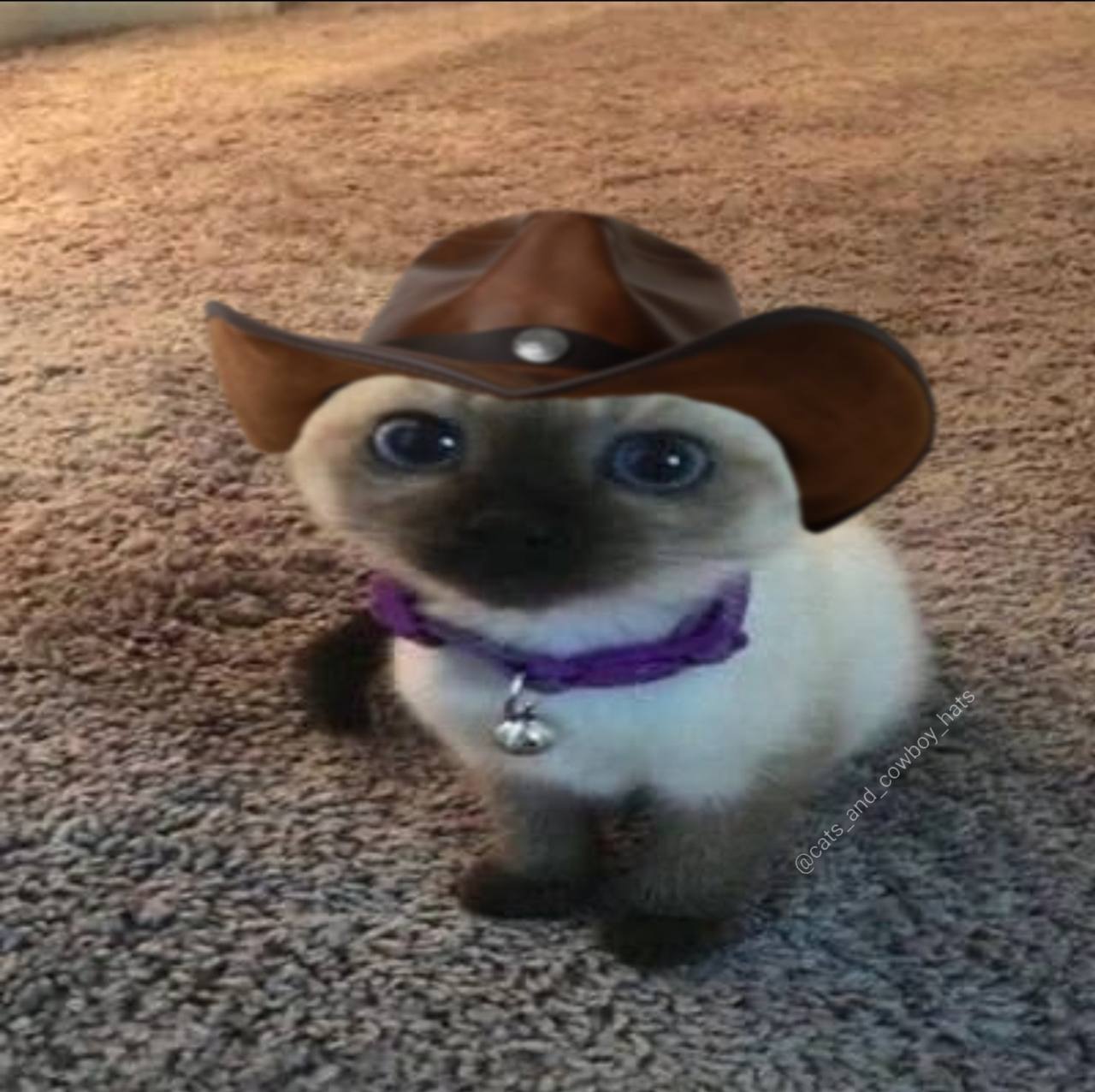 2 we а у at