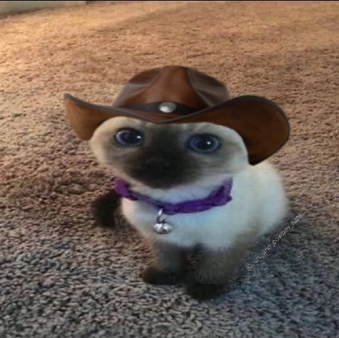 2 we а у at