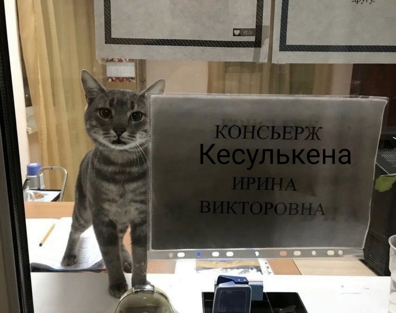 Наркоман, вы в какую квартиру?