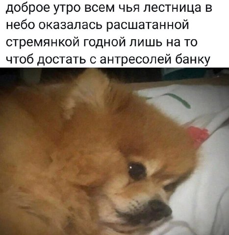 доброе утро всем чья лестница в небо оказалась расшатанной стремянкой годной лишь на то чтоб достать с антресолей банку