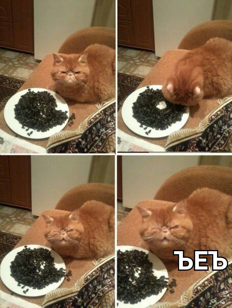 ЪЕЪ: у
