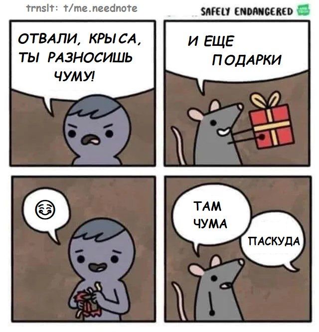 trnsit: t/me.neednote SAFELY ENDANGERED ОТВАЛИ, КРЫСА, ИЕЩЕ Ты РАЗНОСИШЬ ПОДАРКИ ЧУМУ! у