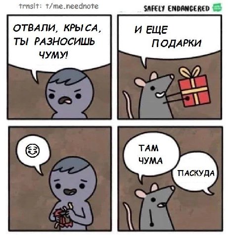 trnsit: t/me.neednote SAFELY ENDANGERED ОТВАЛИ, КРЫСА, ИЕЩЕ Ты РАЗНОСИШЬ ПОДАРКИ ЧУМУ! у