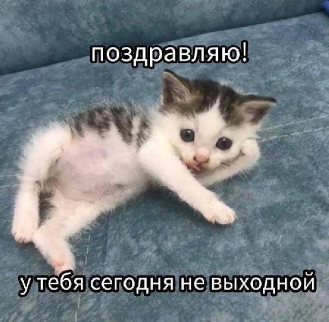 поздравляю! у тебя сегодня не выходной