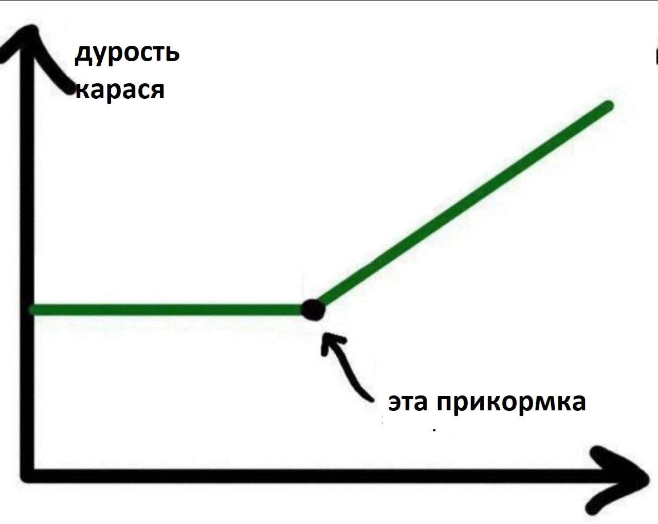дурость арася эта прикормка