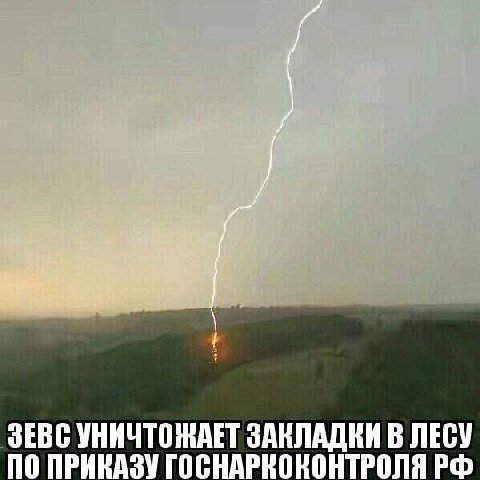 ЗЕВС УНИЧТОЖАЕТ ЗАКЛАДКИ В ЛЕСУ no ПРИКАЗУ ГОСНАРНОНОНТРОЛЯ