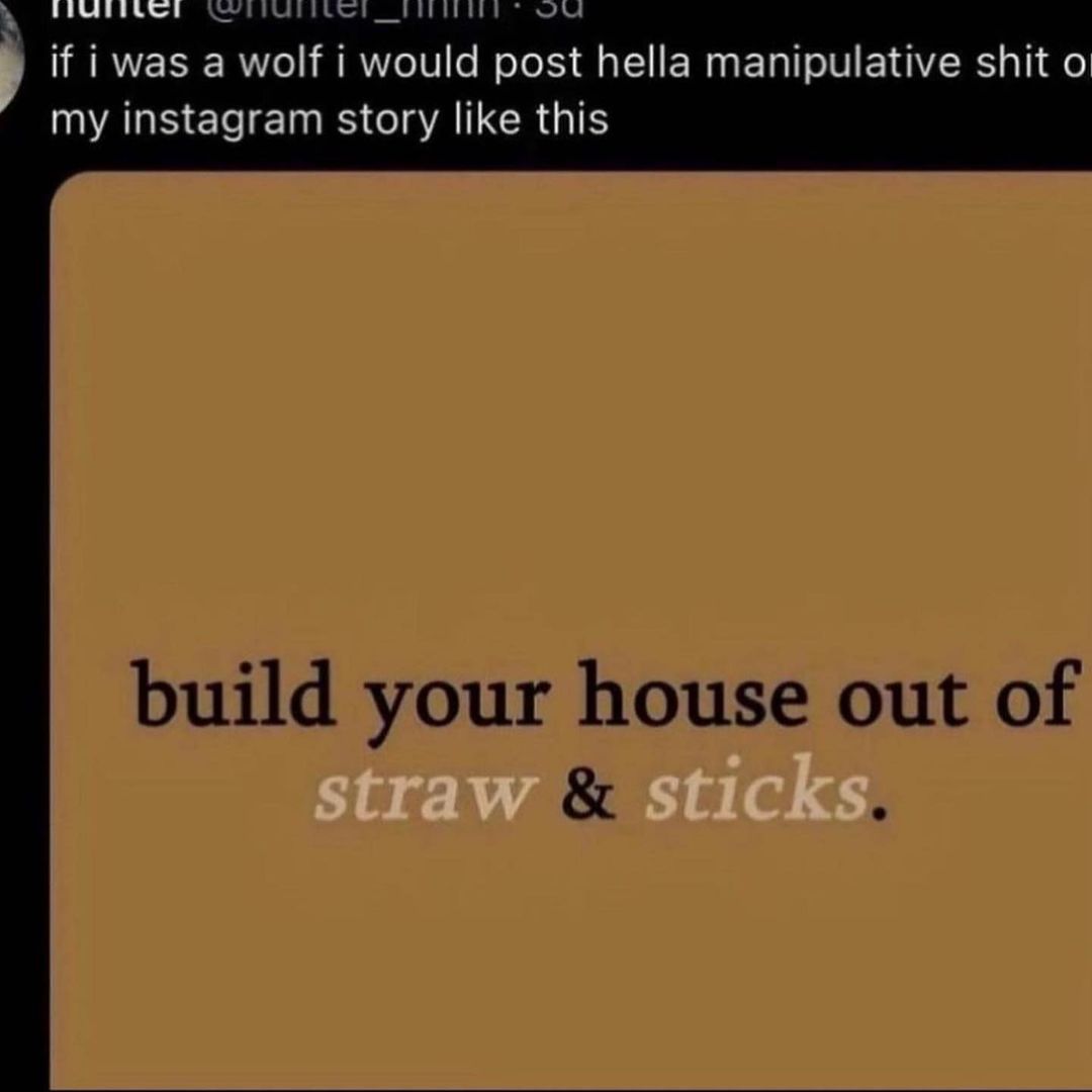 if i was a wolf i would hella manipulative shit my instagram story like this build your house out of