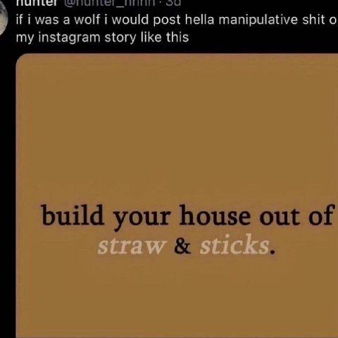 if i was a wolf i would hella manipulative shit my instagram story like this build your house out of
