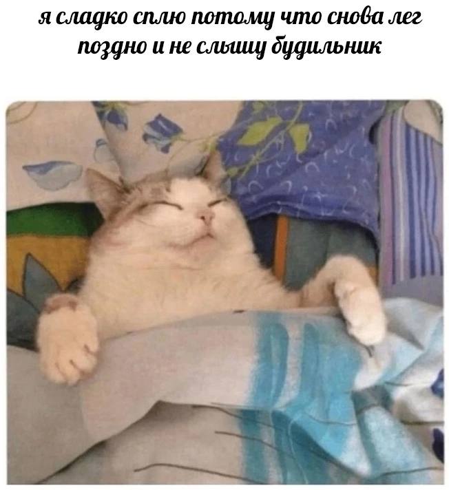 я сладко сплю потому что снова лег поздно и He будильник
