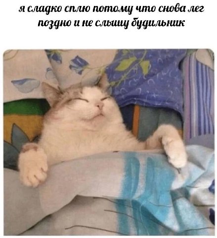 я сладко сплю потому что снова лег поздно и He будильник