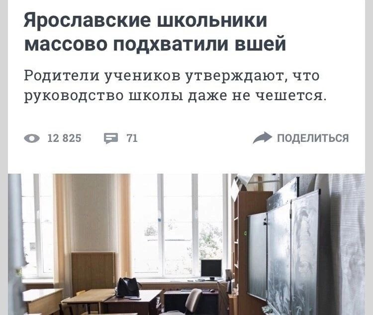 Ярославские школьники массово подхватили вшей Родители учеников утверждают, что руководство школы даже не чешется 12 825 71 ПОДЕЛИТЬСЯ IN if