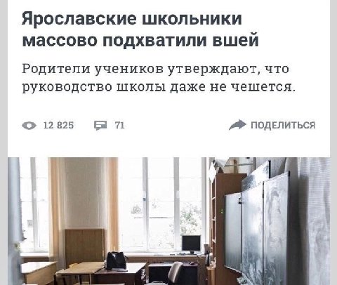 Ярославские школьники массово подхватили вшей Родители учеников утверждают, что руководство школы даже не чешется 12 825 71 ПОДЕЛИТЬСЯ IN if