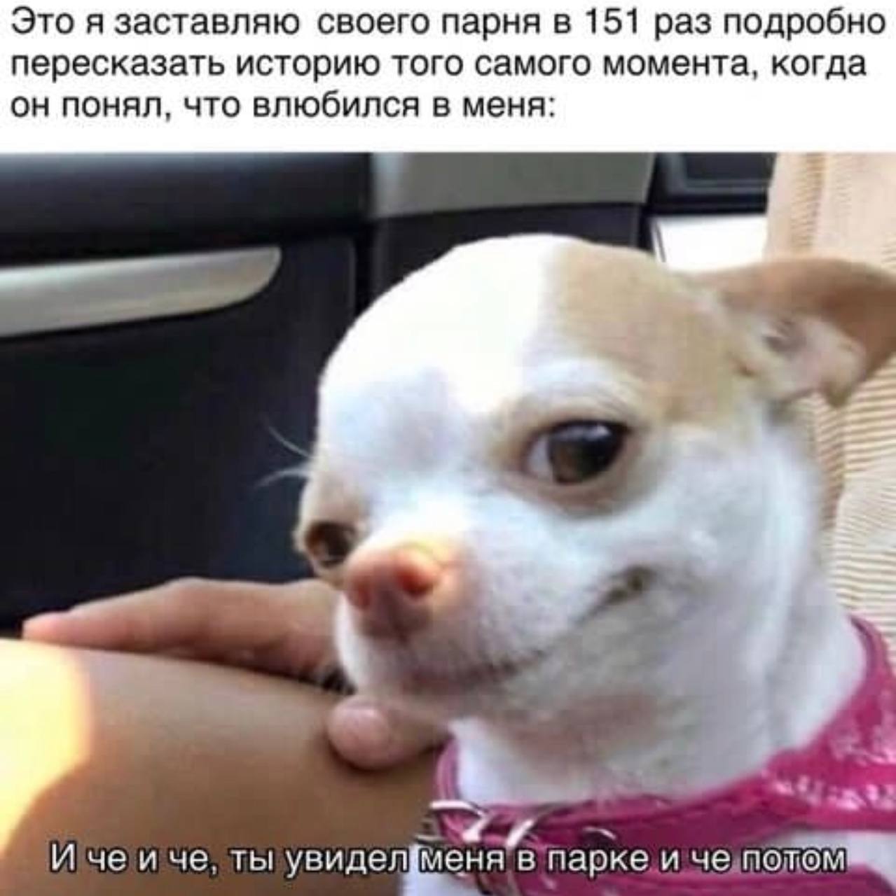 Это я заставляю своего парня в 151 раз подробно пересказать историю того самого момента, когда он понял, что влюбился в меня: и че, тыувидел парке и