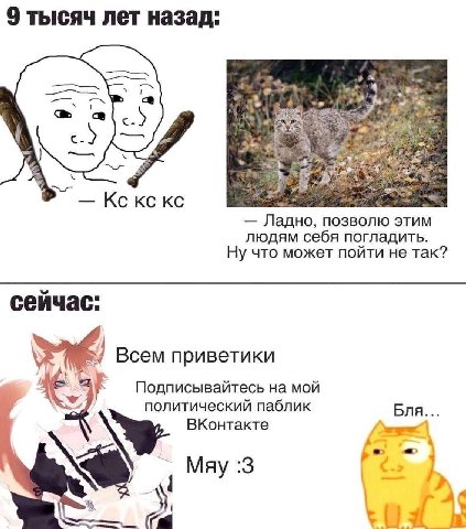 9 тысяч лет назад: eon 3 Кскс Ладно, позволю этим людям себя погладить. Ну что может пойти не так? сейчас: Всем приветики Подписывайтесь на мой политический паблик Бля... ВКонтакте May :3 у,