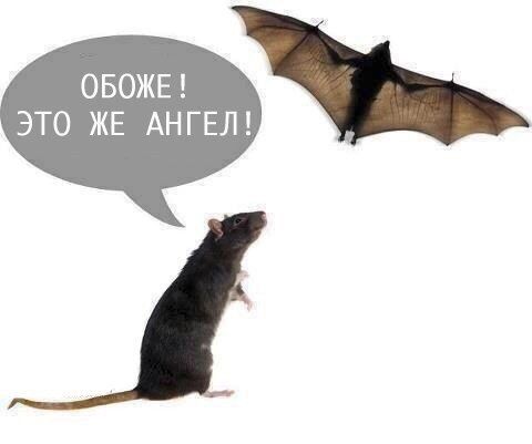 ОБОЖЕ! ЭТО ЖЕ АНГЕЛ!