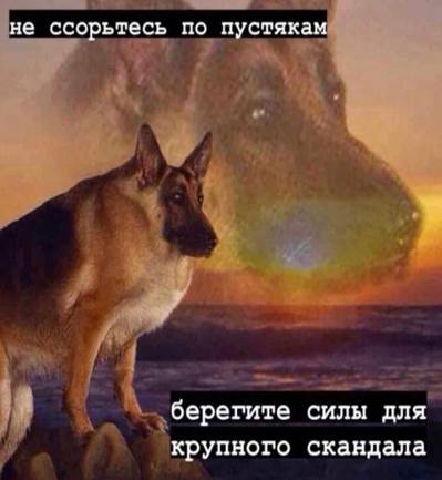 не ссорьтесь по пустякам берегите силы для крупного скандала