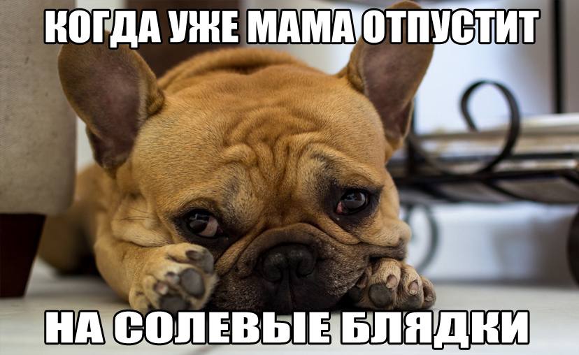 КОГДА a НА СОЛЕВЫЕ БЛЯ