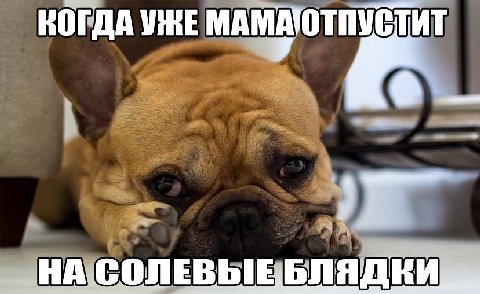 КОГДА a НА СОЛЕВЫЕ БЛЯ