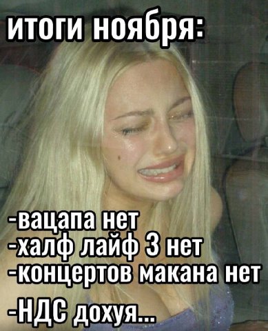 итоги ноября: -вацапа нет -халф лайф 3 нет -концертов макана нет -НДС дохуя...