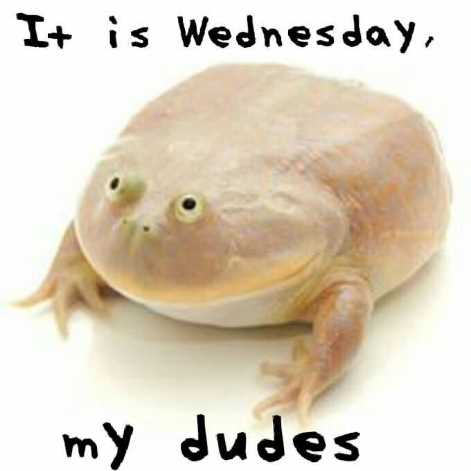1+ is Wednesday, my dudes