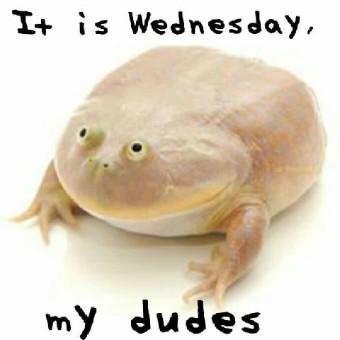 1+ is Wednesday, my dudes